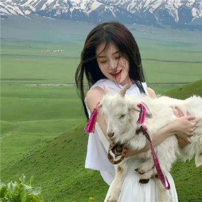 限制级战警：重返极限